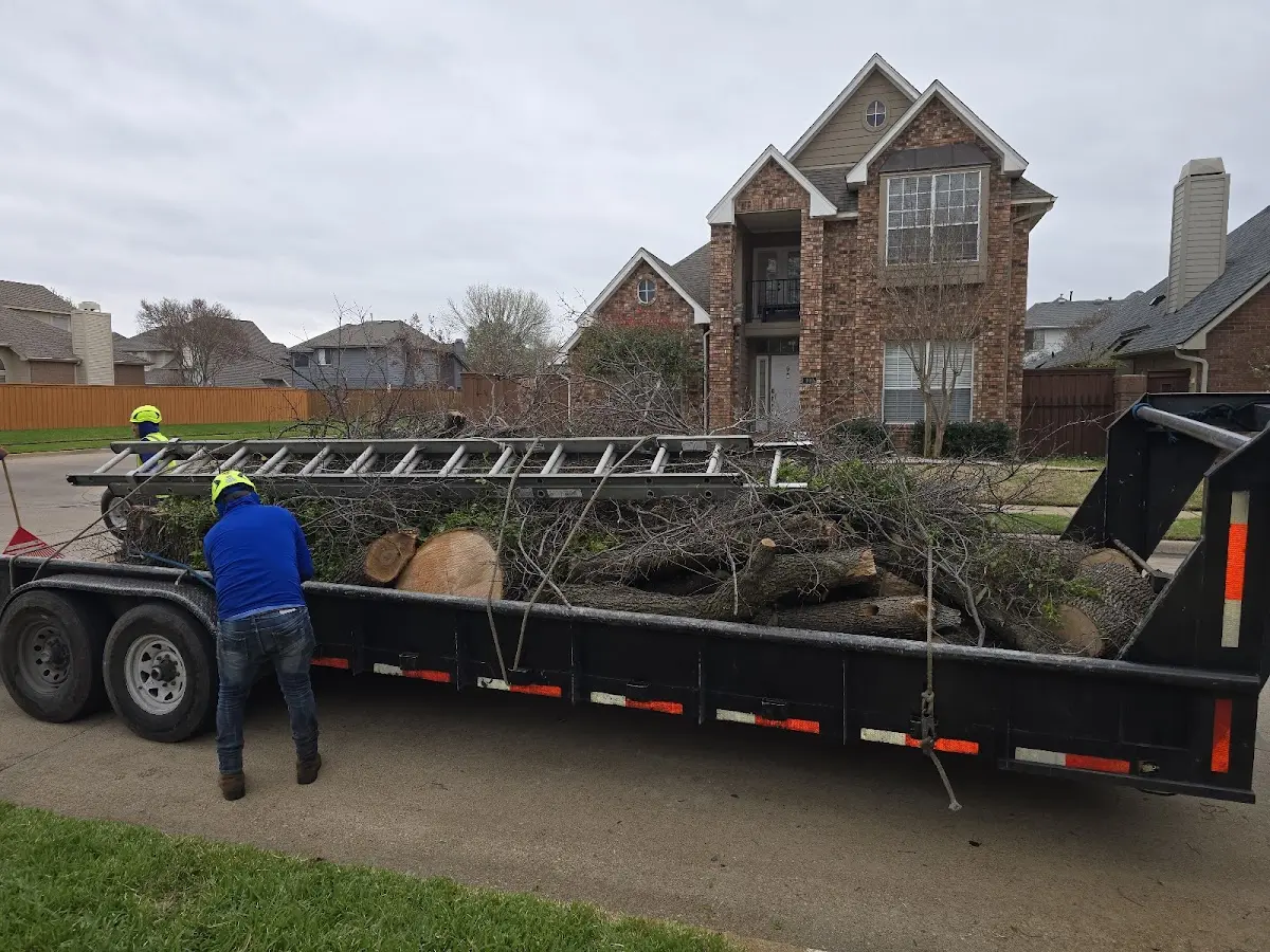 Expert Tree Fertilization with proper safety equipment in Saline